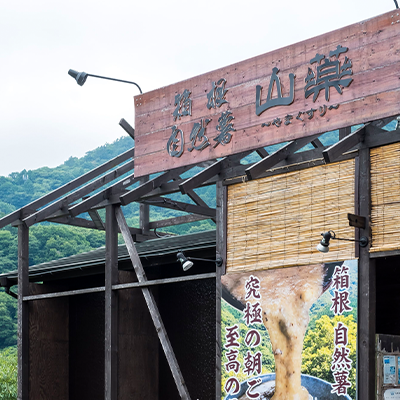 箱根自然薯の森 山薬